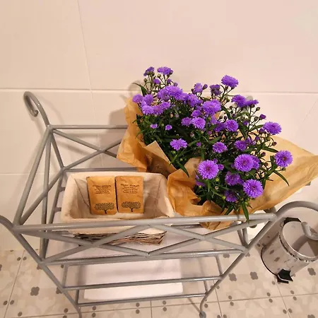 Charlotta Едлина-Здруй